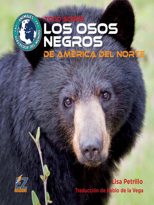 cover image of Todo sobre los osos negros de América del Norte